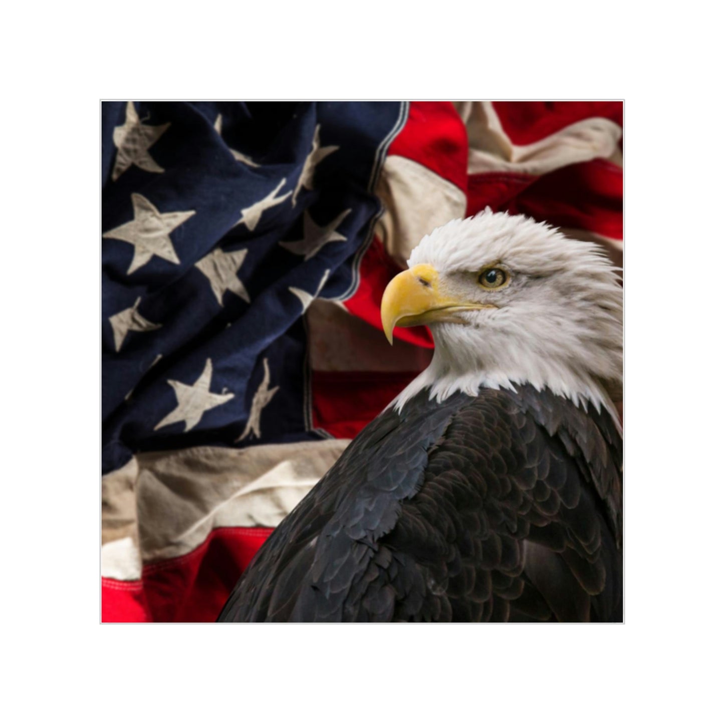 Patriotic Transparent Outdoor Stickers, Square, 1pc